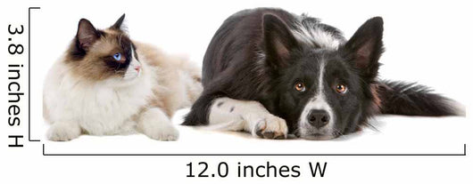 Dog and Cat Wall Decal