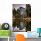 Reflecting Half Dome Wall Mural