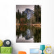 Reflecting Half Dome Wall Mural