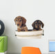 Dackelwelpe Wall Decal