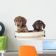 Dackelwelpe Wall Decal