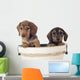 Dackelwelpe Wall Decal