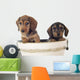 Dackelwelpe Wall Decal