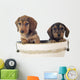 Dackelwelpe Wall Decal