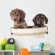 Dackelwelpe Wall Decal
