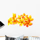 fleurs jaunes de frangipanier, fond blanc Wall Decal