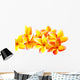 fleurs jaunes de frangipanier, fond blanc Wall Decal