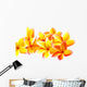 fleurs jaunes de frangipanier, fond blanc Wall Decal