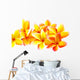 fleurs jaunes de frangipanier, fond blanc Wall Decal