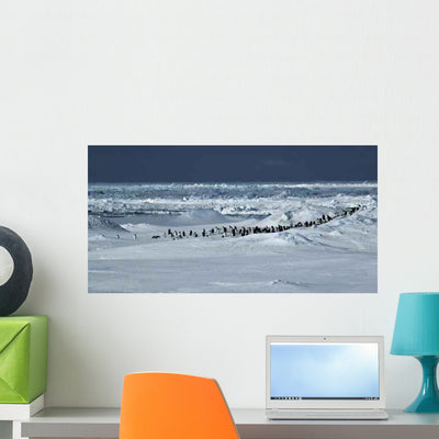 Penguin Panorama Wall Decal shown on a wall