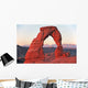 delicate arch, arches national park, utah/arizona Wall Mural