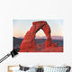 delicate arch, arches national park, utah/arizona Wall Mural