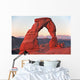 delicate arch, arches national park, utah/arizona Wall Mural