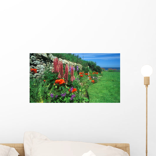 flower bed, crail, scotland Wall Mural