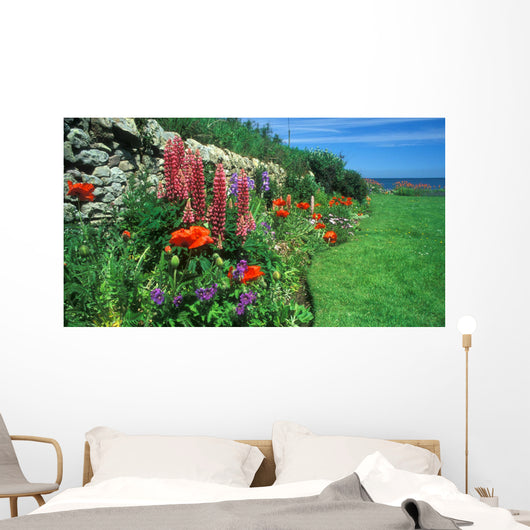 flower bed, crail, scotland Wall Mural