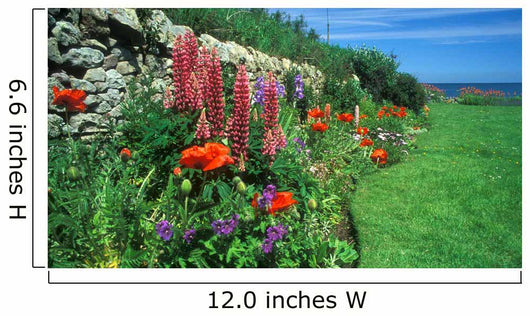flower bed, crail, scotland Wall Mural