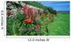 flower bed, crail, scotland Wall Mural
