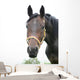 Horse Wall Mural