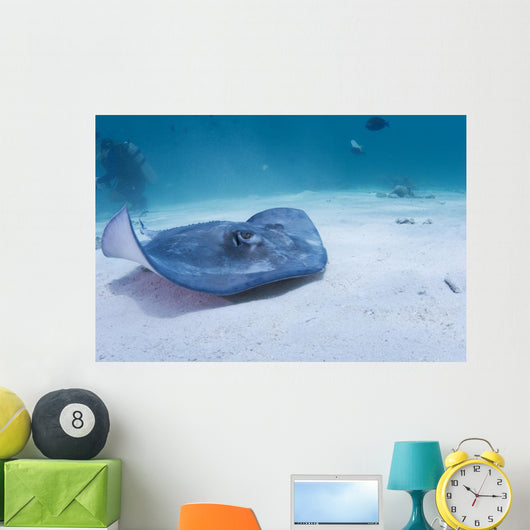 Sting Ray Wall Mural
