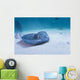 Sting Ray Wall Mural