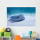 Sting Ray Wall Mural