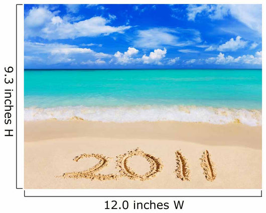 Numbers 2011 Beach