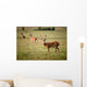 White Tailed Deer Wall Mural