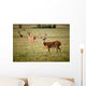 White Tailed Deer Wall Mural