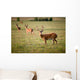 White Tailed Deer Wall Mural