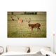 White Tailed Deer Wall Mural