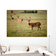White Tailed Deer Wall Mural