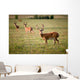 White Tailed Deer Wall Mural