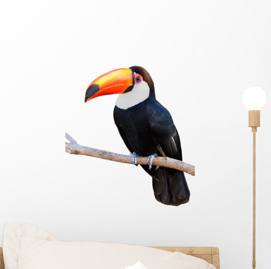 Toco Touca White Wall Decal