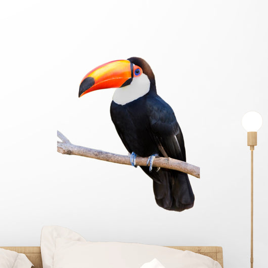 Toco Touca White Wall Decal