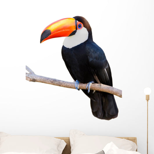 Toco Touca White Wall Decal