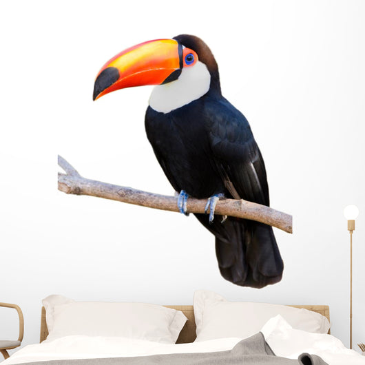 Toco Touca White Wall Decal