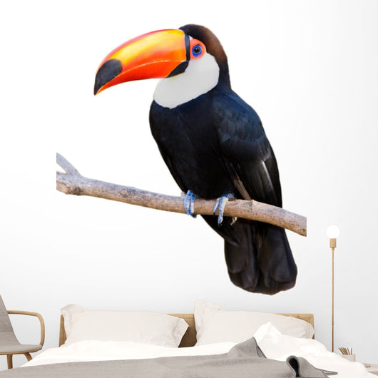 Toco Touca White Wall Decal