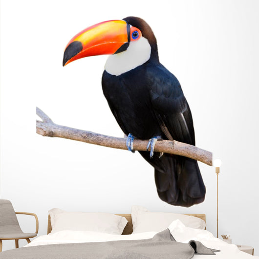 Toco Touca White Wall Decal