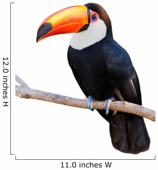 Toco Touca White Wall Decal