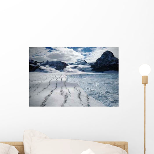 Melting Antarctic Glacier Wall Decal