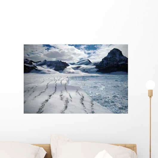 Melting Antarctic Glacier Wall Decal