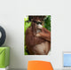 Orang Utan with sunglasses Wall Mural