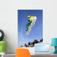 snowboard Wall Mural