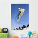 snowboard Wall Mural
