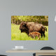 Bison Calf Only Few Wall Mural