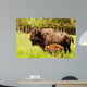 Bison Calf Only Few Wall Mural