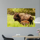 Bison Calf Only Few Wall Mural