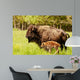 Bison Calf Only Few Wall Mural
