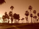 Venice Beach Wall Decal
