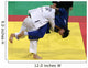 Judo Wall Mural